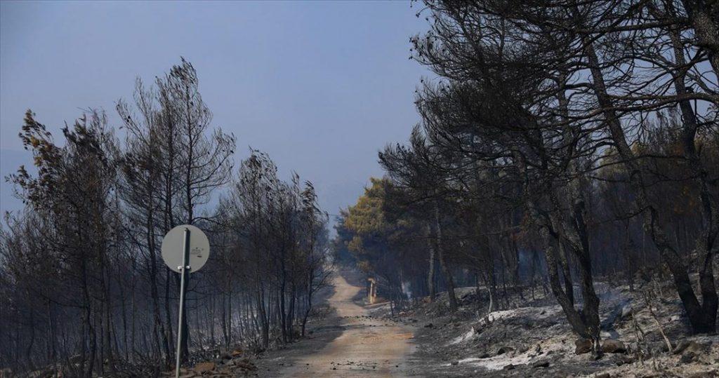 Βελτιωμένη η εικόνα στα Βίλια