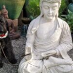 Mindfulness & Διαλογισμός